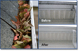 Gutter Cleaning Before and after Gutter Cleaning Before and after