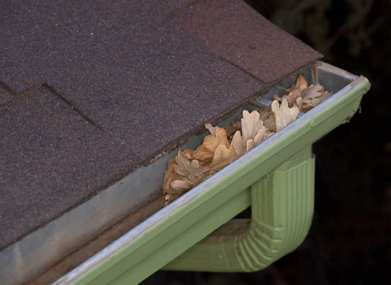 Clean Gutters During the Fall
