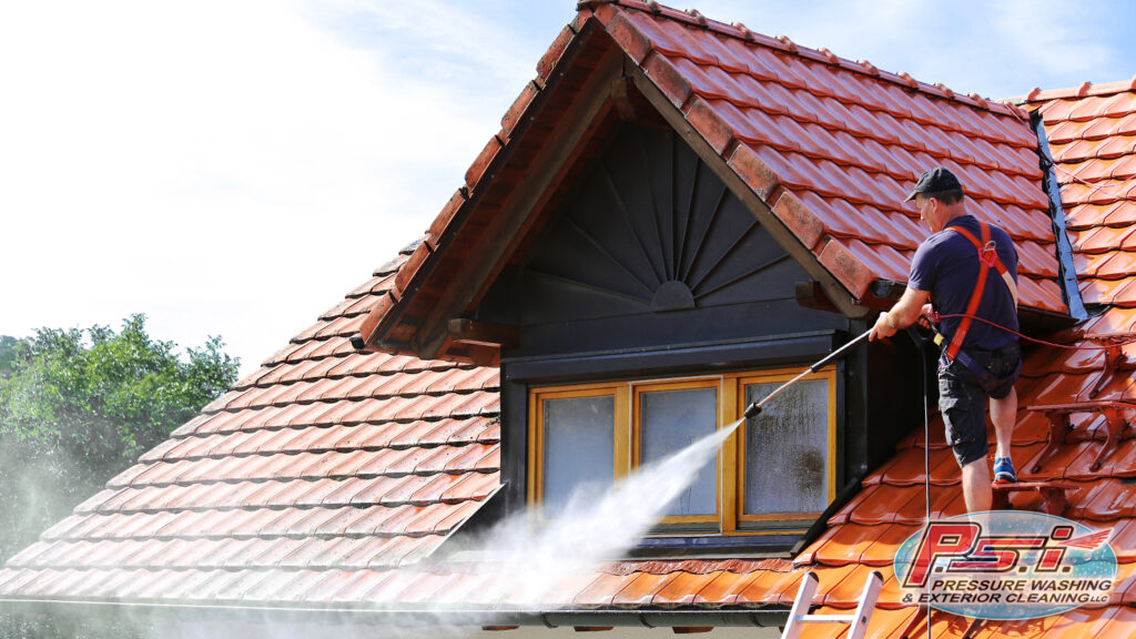 roof washing service