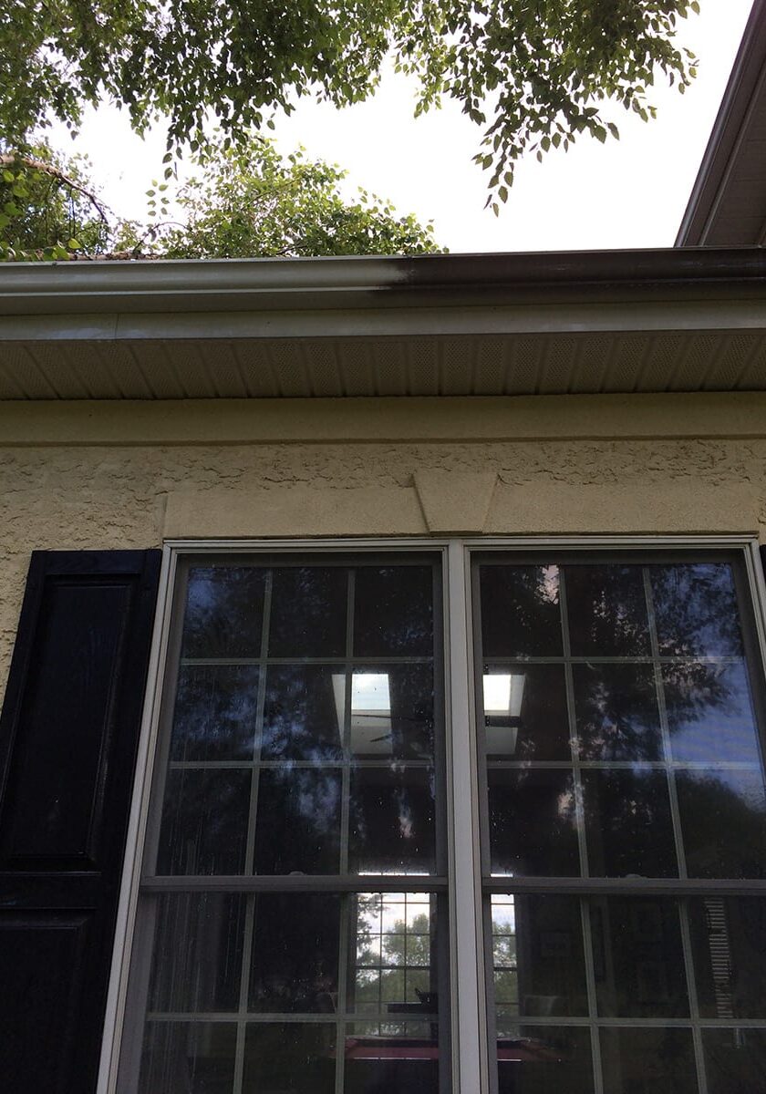 GUTTER CLEANING & WHITENING GUTTER CLEANING & WHITENING