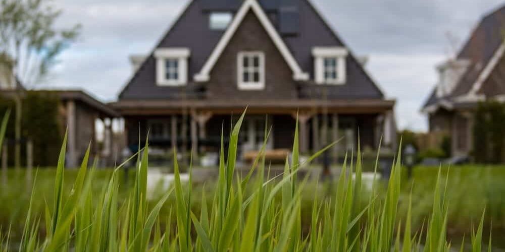 A sharp close-up of green grass blades in the foreground with a blurred background showing a large, modern house with a steep roof, white-framed windows, and a porch. During this time, the overcast sky creates a muted, calm atmosphere while subtly emphasizing the importance of house washing.